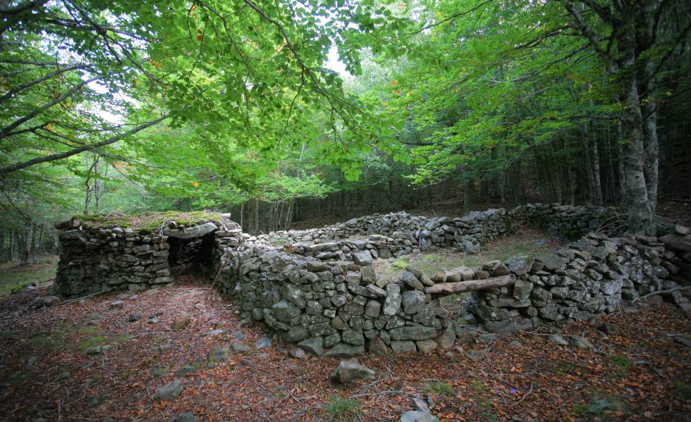 La Senda de las Majadas es uno de los mejores itinerarios para descubrir el Parque Natural de la Sierra de Cebollera.