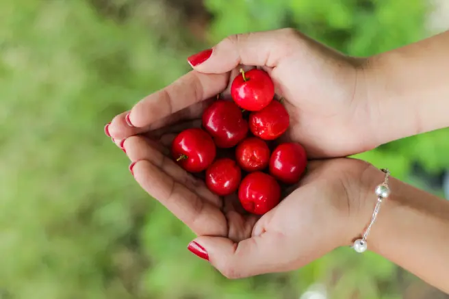 La acerola, la fruta con 20 veces más vitamina C que la naranja.