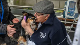 ACOMPAÑA CRÓNICA: MASCOTAS HOSPITALES - OURENSE (GALICIA), 18/02/2025.- Encuentro entre Jose Álvarez, paciente de larga duración, y su perro Pelitos, este martes en el Complejo Hospitalario Universitario de Ourense (Galicia). El Complejo Hospitalario Universitario de Ourense ha lanzado 'Can da Man', un programa que permite a pacientes de larga estancia recibir la visita de sus mascotas para apoyo terapéutico. La idea, en suma, es mejorar el bienestar emocional de los internos, como Pepe, a través de un proyecto pionero en Galicia que está generando interés en hospitales españoles. EFE/ Brais Lorenzo