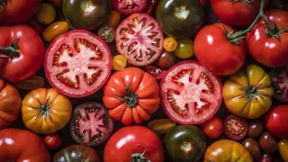 Top view of a background made with various kinds of tomatoes mixed by varieties, sizes and colors. Predominant colors are red, orange and yellow. Studio shot taken with Canon EOS 6D Mark II and Canon EF 24-105 mm f/4L