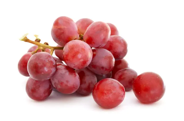 La piel de las uvas tintas contienen resveratrol.