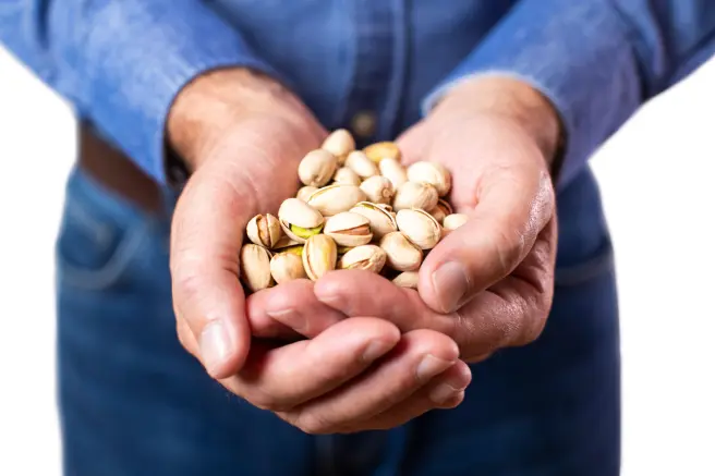 Para el estudio científico que duró un año, un grupo de hombres con disfunción eréctil tomó pistachos cada día.